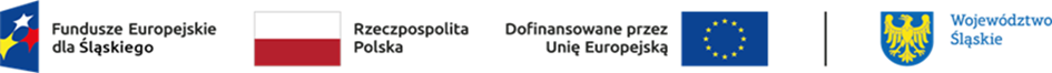 Logotyp Funduszy Europejskich dla śląskiego,flaga Rzeczypospolitej Polskiej,flaga Unii Europejskiej z opisem dofinansowanie przez Unię Europejską,herb Województwa Śląskiego